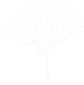 12_edited.png